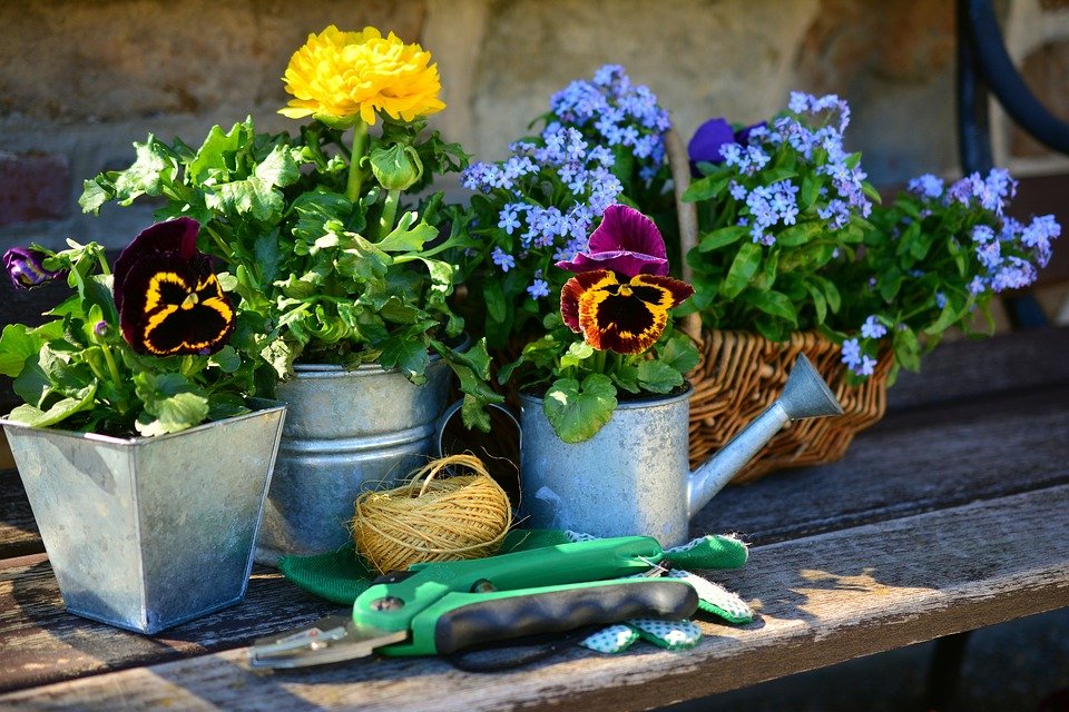 Naturschutz fängt im Garten an: Tipps und Tricks für die Gartenarbeit