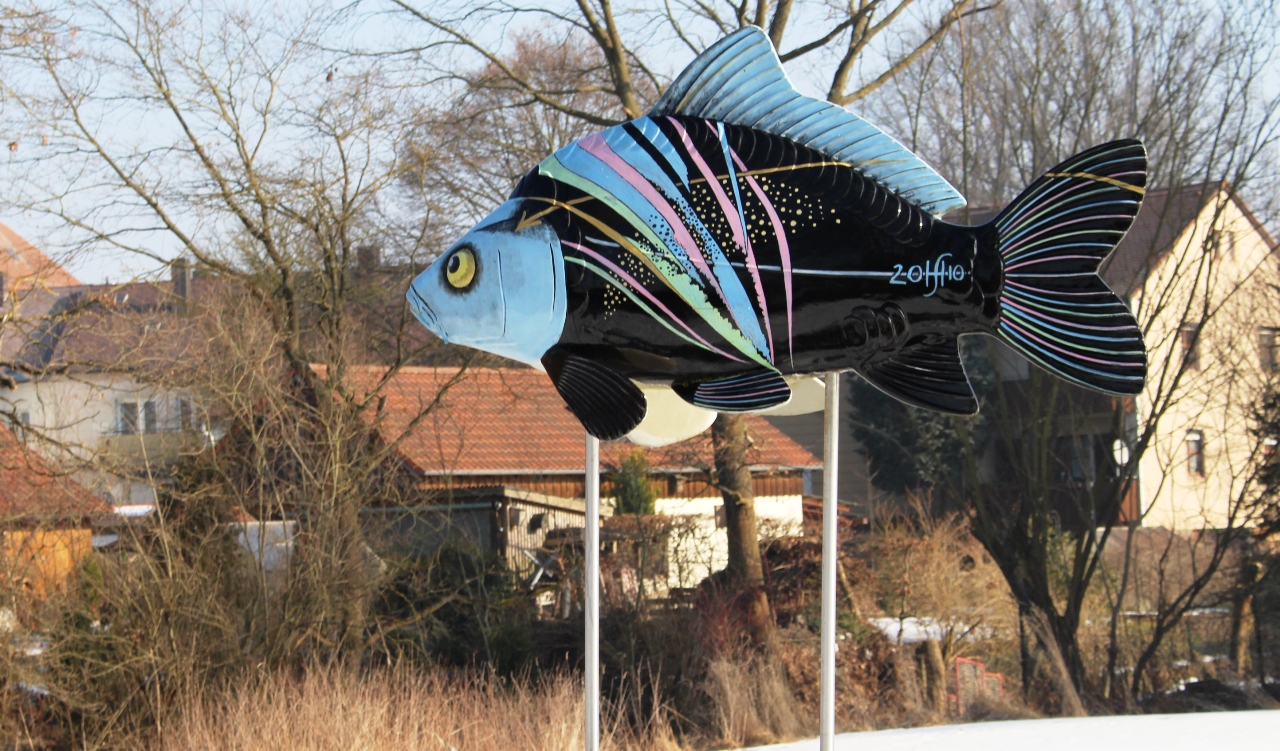 Keine Landesgartenschau 2022 in Tirschenreuth