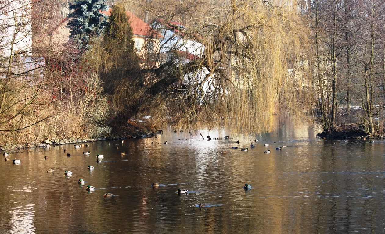 Die wichtigsten Meldungen der Woche