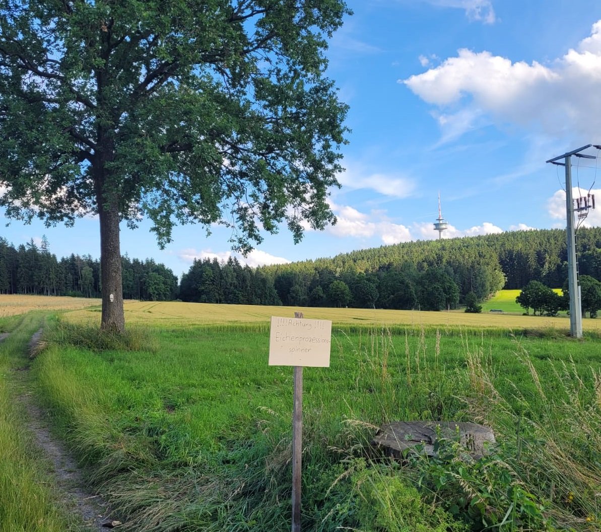 Gemeinde feiert 50. Geburtstag: Große Feier in Theisseil oder Letzau?