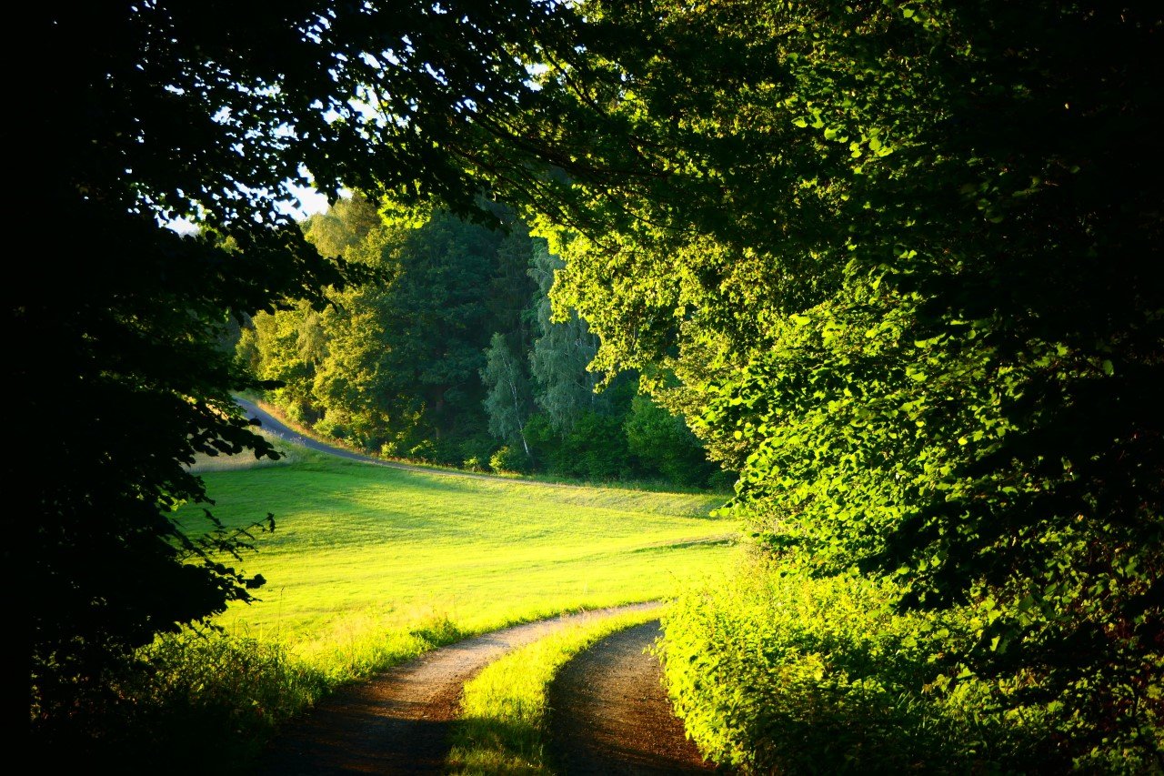 „Genussvolle Wanderung“ durch die Nordoberpfalz