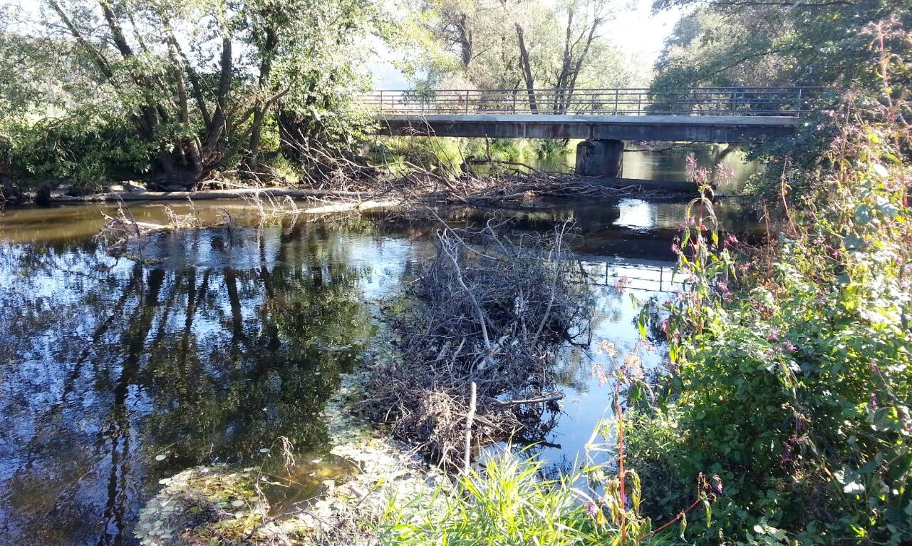 GeoTour: Mehr als nur ein Fluss – die Waldnaab zwischen Weiden und Neustadt