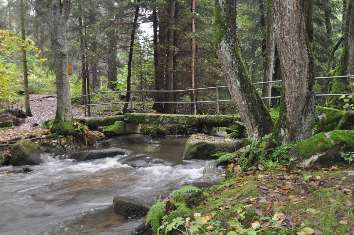 Wildromantisches Lerautal – eine sagenhafte Flusslandschaft