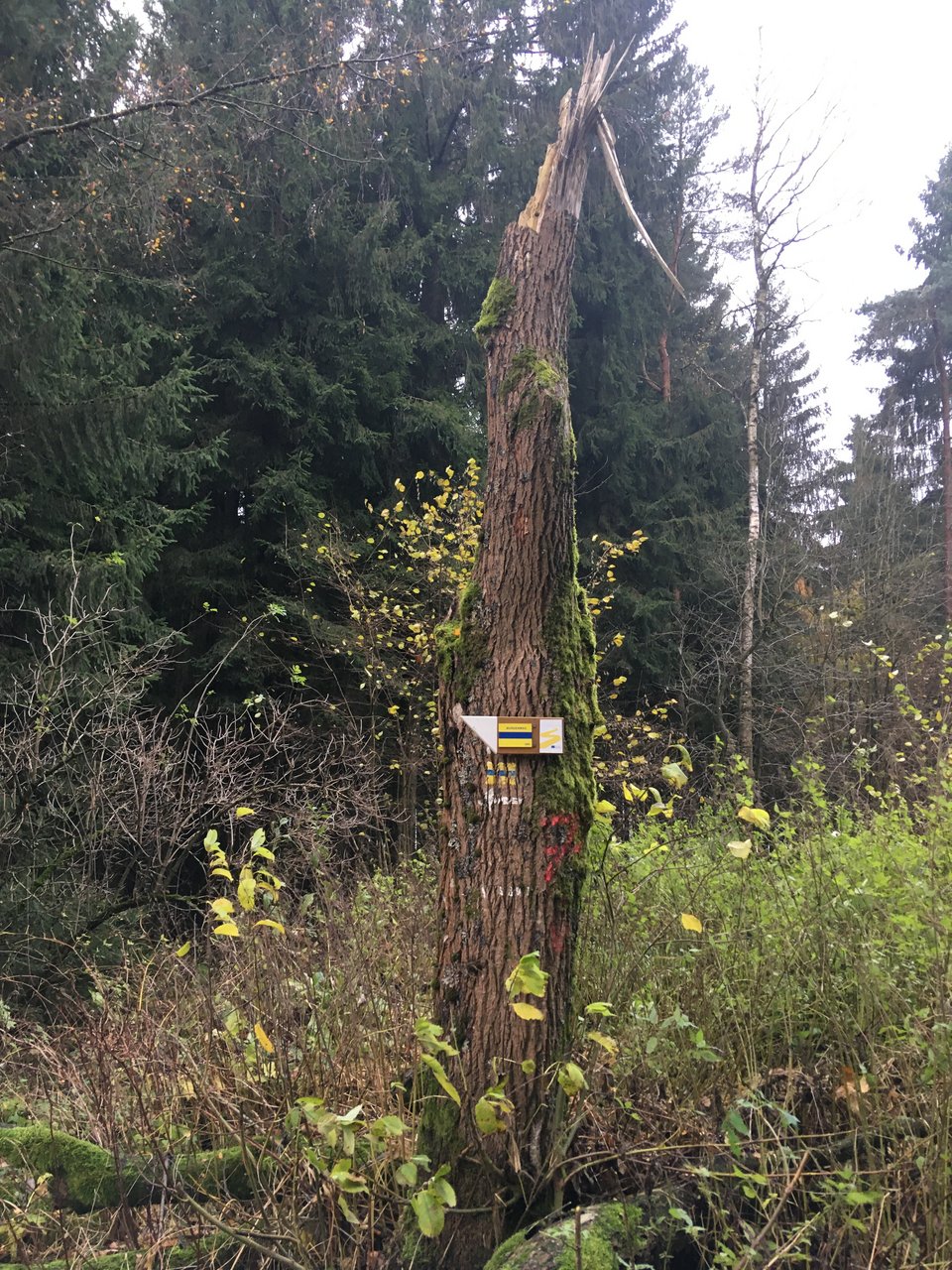Hinweisschilder am Goldsteig