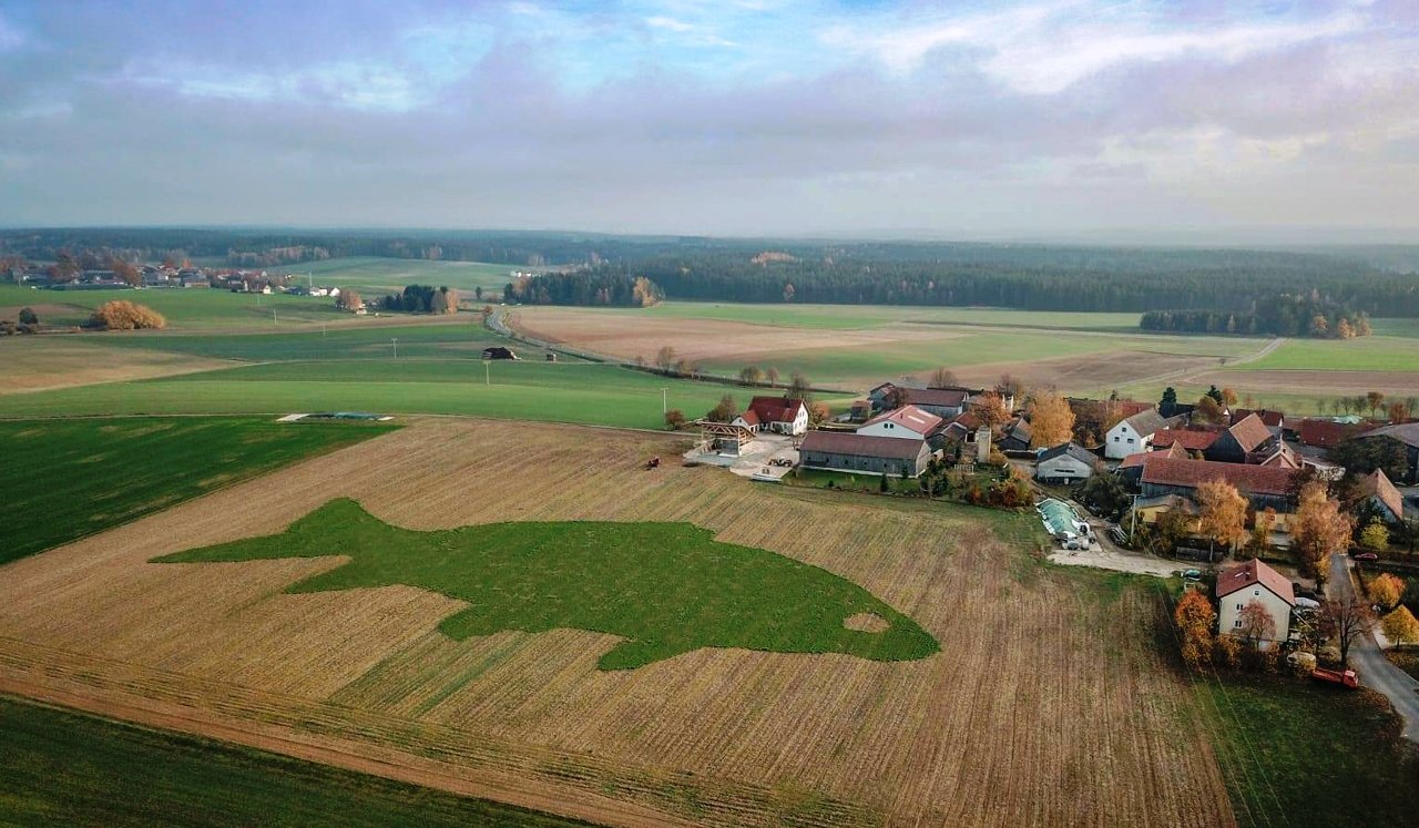 Größter Karpfen der Welt kommt aus Kleinsterz bei Mitterteich