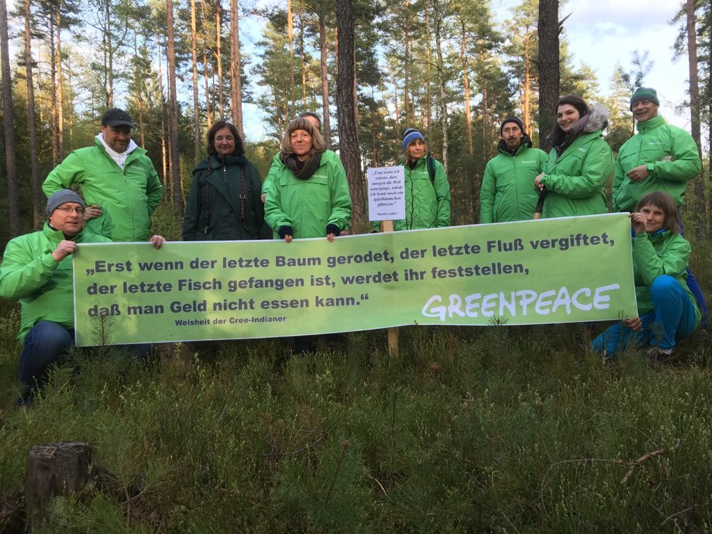 Greenpeace Weiden: Aufforstung statt Abholzung!
