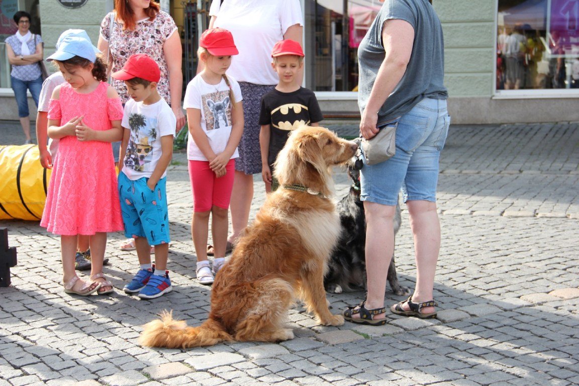 600 Kinder lernen „Helfer in der Not“ kennen