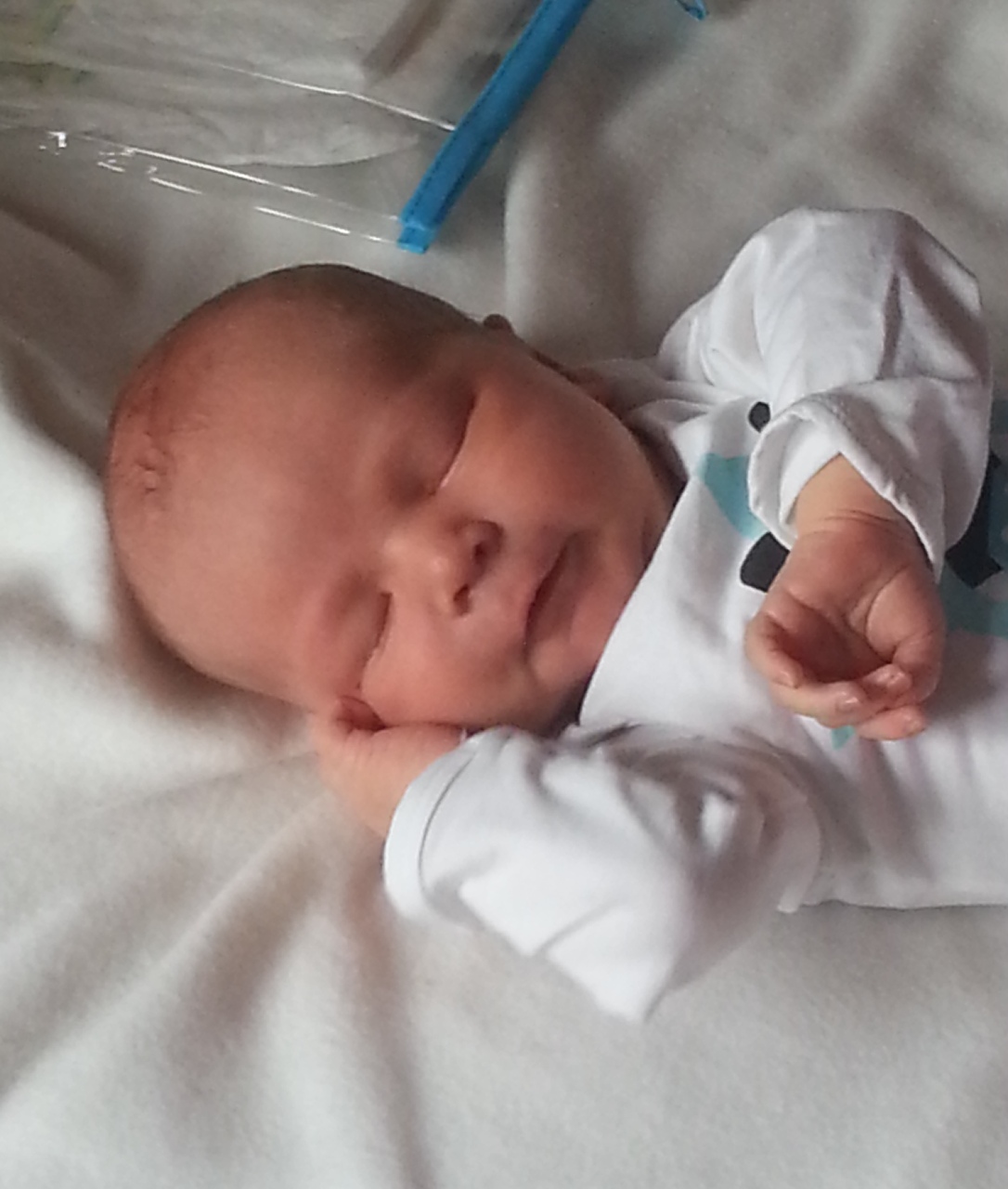 Diese Babys kamen zwischen 15. – 21. Februar zur Welt