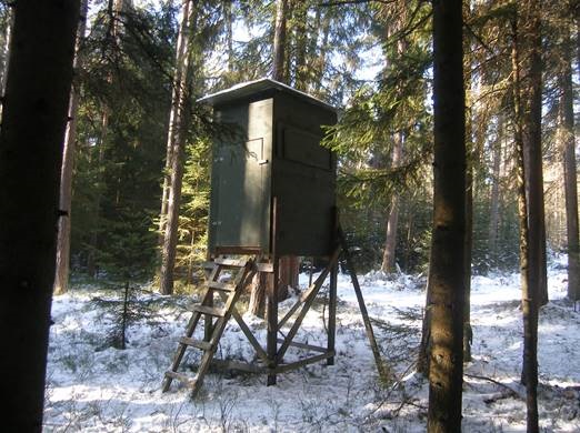 Vierbeiner rettet Obdachlosem das Leben