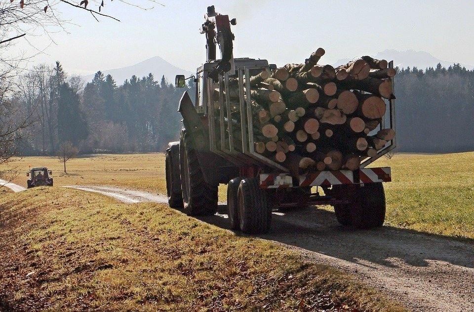 Unfall B22: Holzpfahl durchbohrt Beifahrerseite