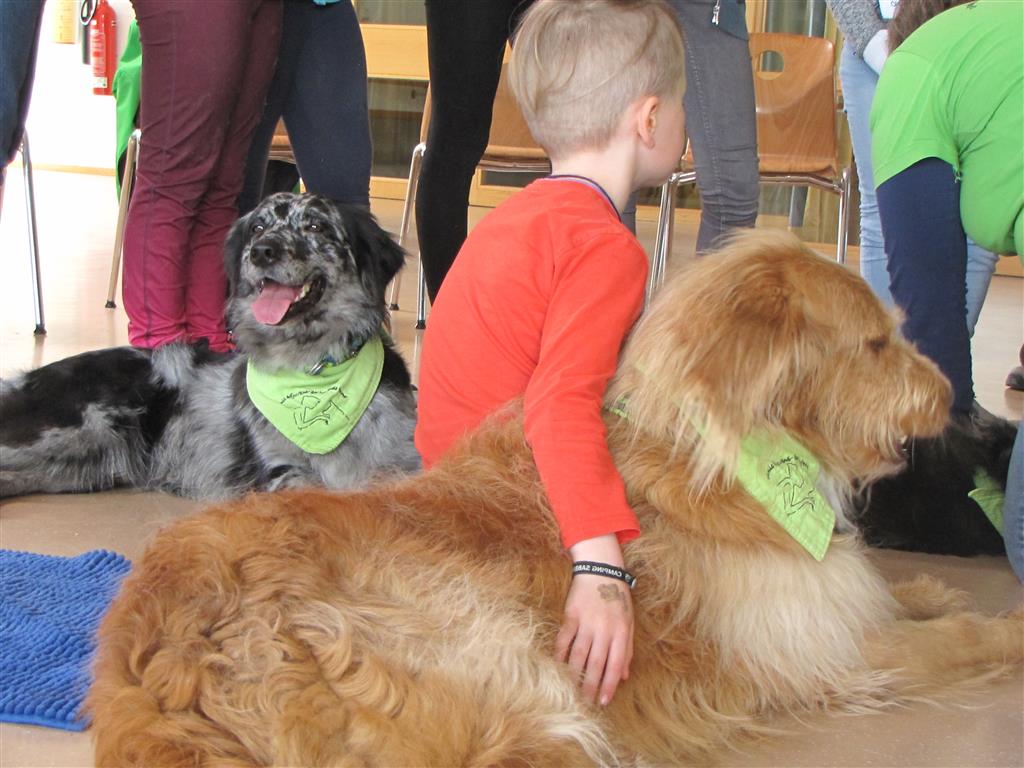 Kuscheln inklusive – Kind und Hund in Aktion
