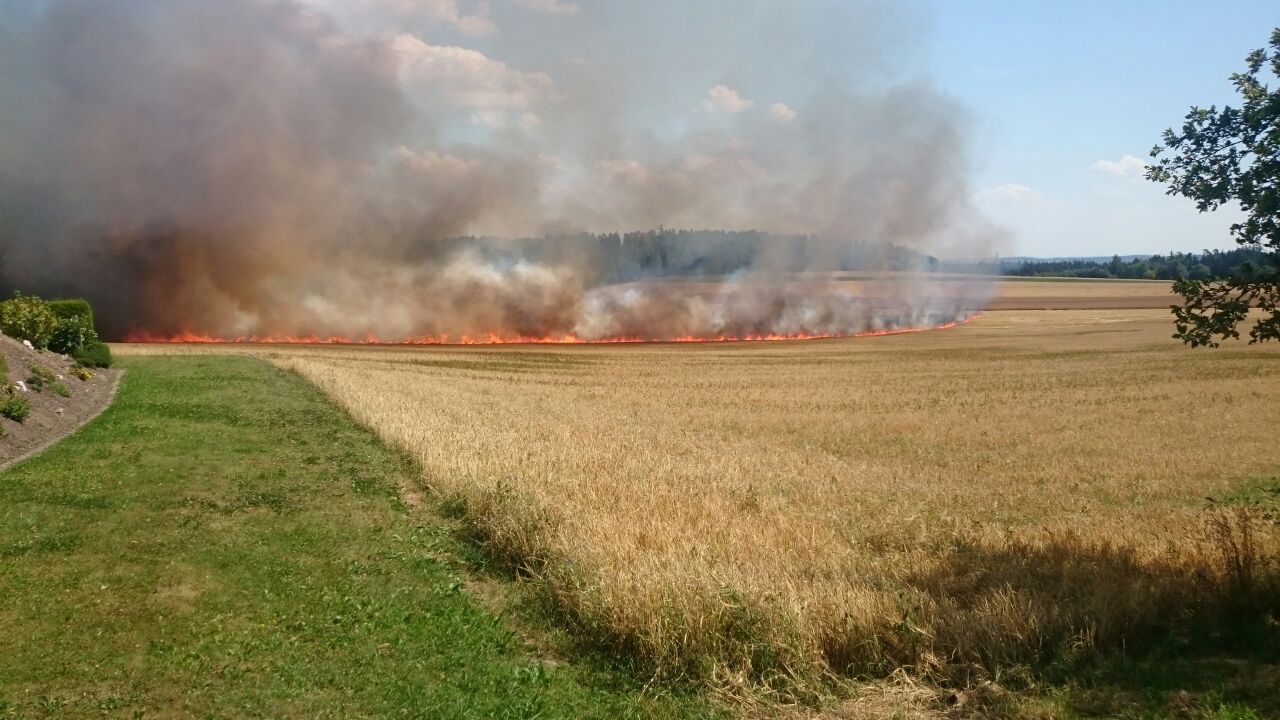 Flächenbrand bei Erbendorf
