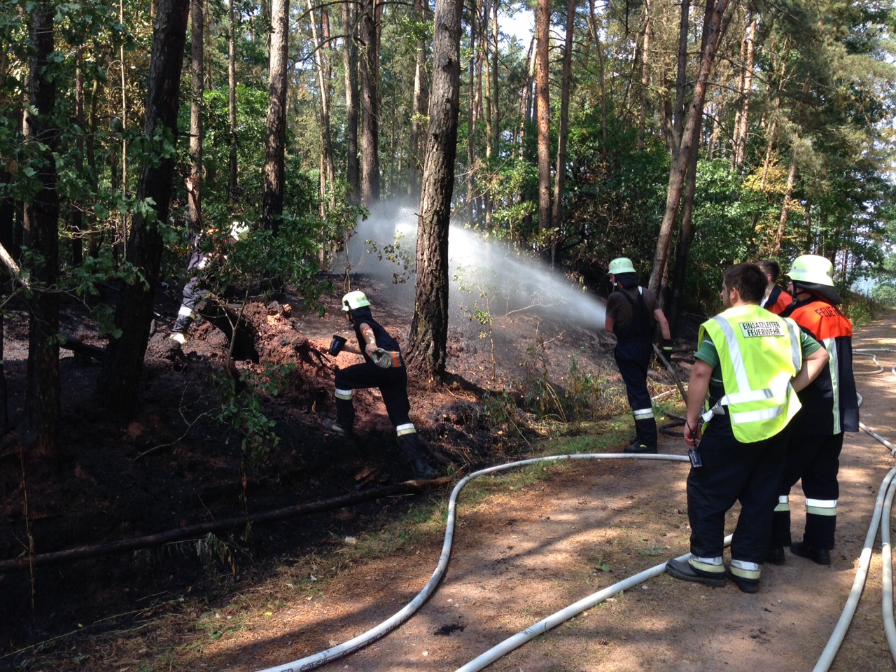 [Update] Erhöhte Waldbrandgefahr! Schon wieder Feuer in einem Waldstück