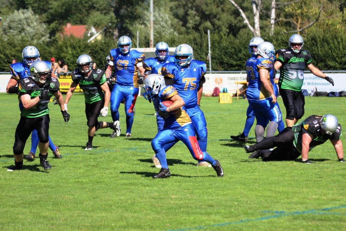 Vikings verlieren in den Playoffs