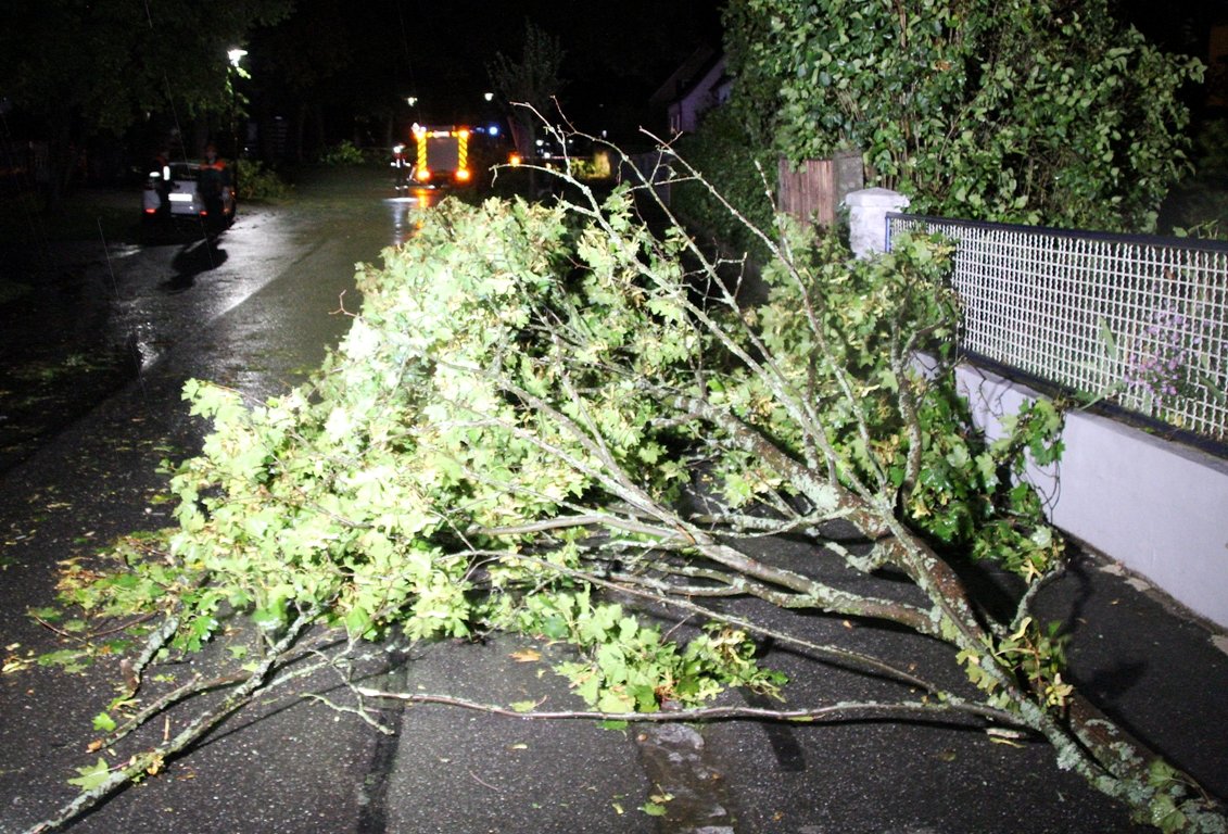 Sturmtief Fabienne – eine Bilanz: umgestürzte Bäume, Stromausfall, gesperrte Straßen