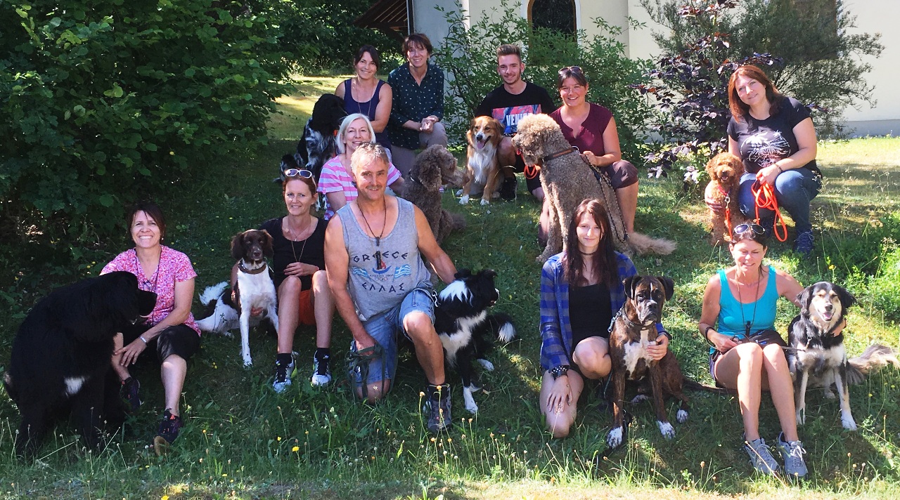Pudel, Collie oder Boxer: Alle meistern Begleithundeprüfung