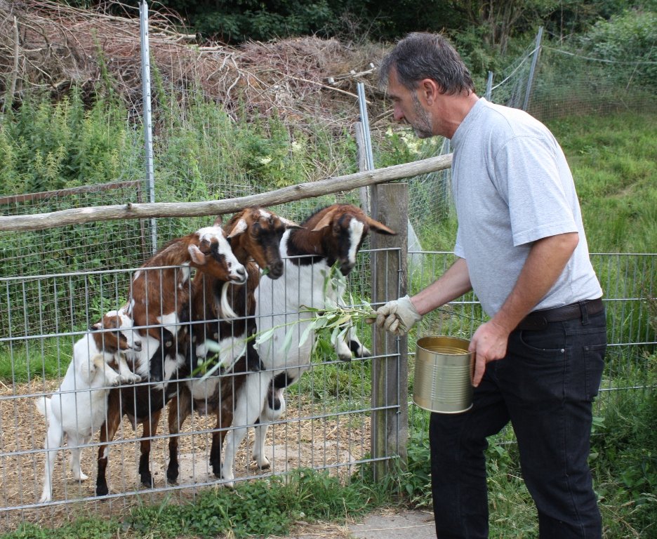 „Tag der Tierfreunde“ mit Streichelzoo und vegetarischen Schlemmereien