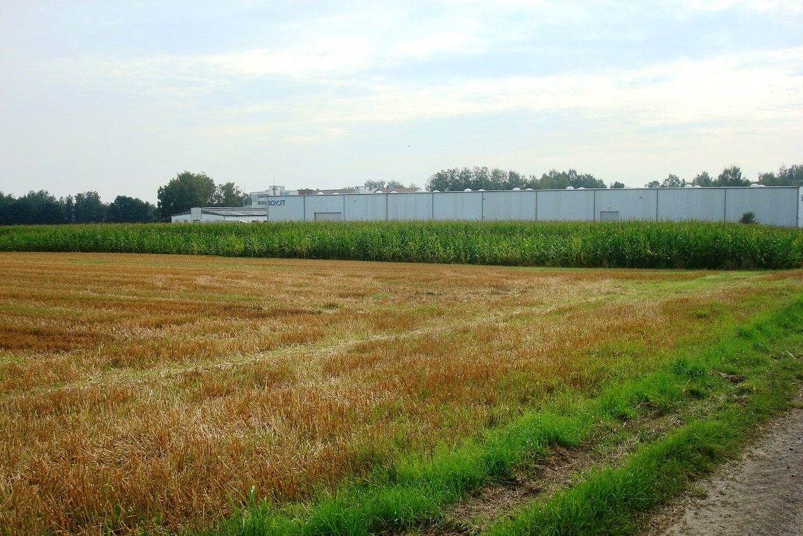 Neues Industriegebiet für Schott AG