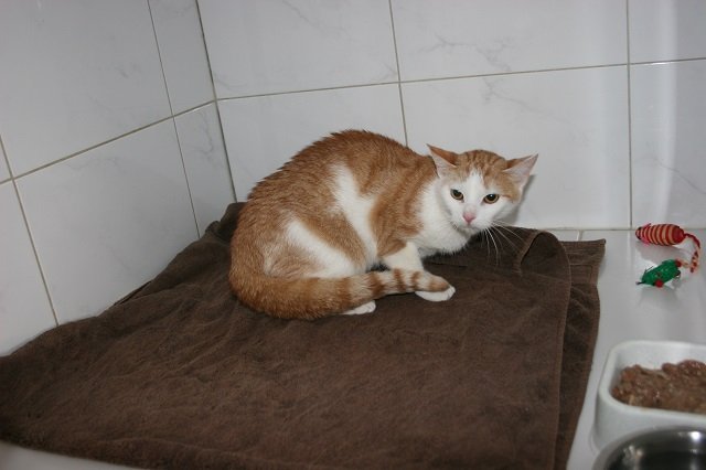 Jacky sucht ihre Familie