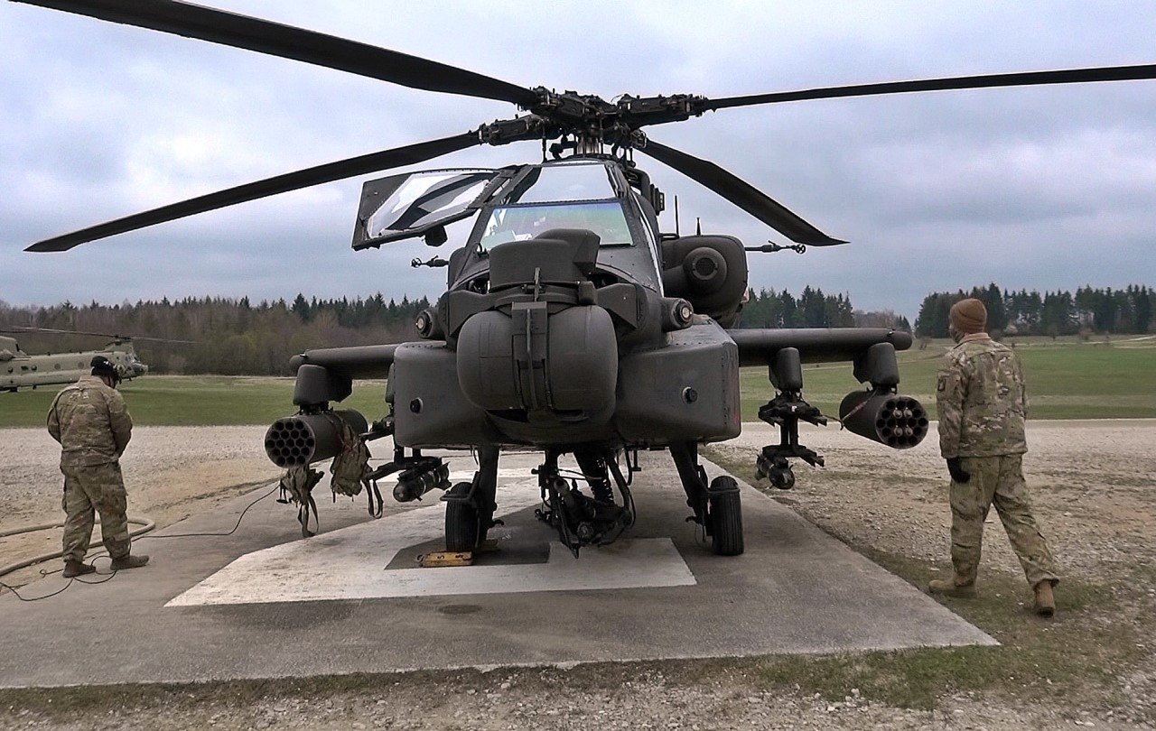 Rotwildherde durchkreuzt Militärübung