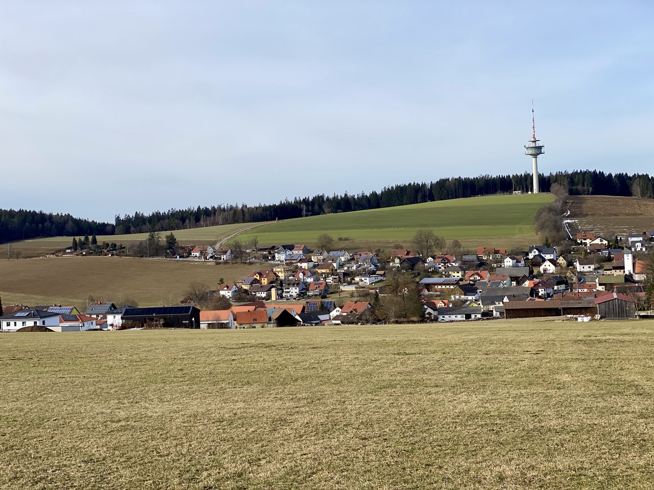 „Gärten des Grauens“: Neues Baugebiet verbietet Schottergärten