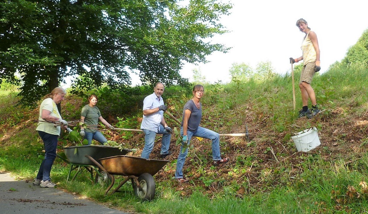 Damit der Knöterich nicht mehr wüten kann