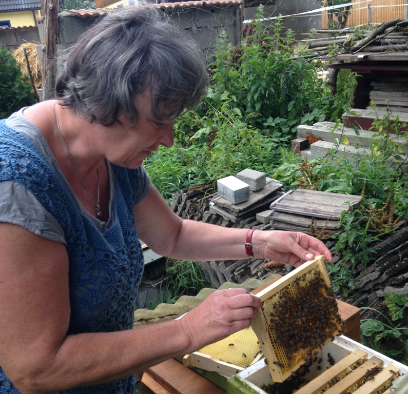 Imkern in der Oberpfalz: Bester Honig von oberpfälzer Bienen