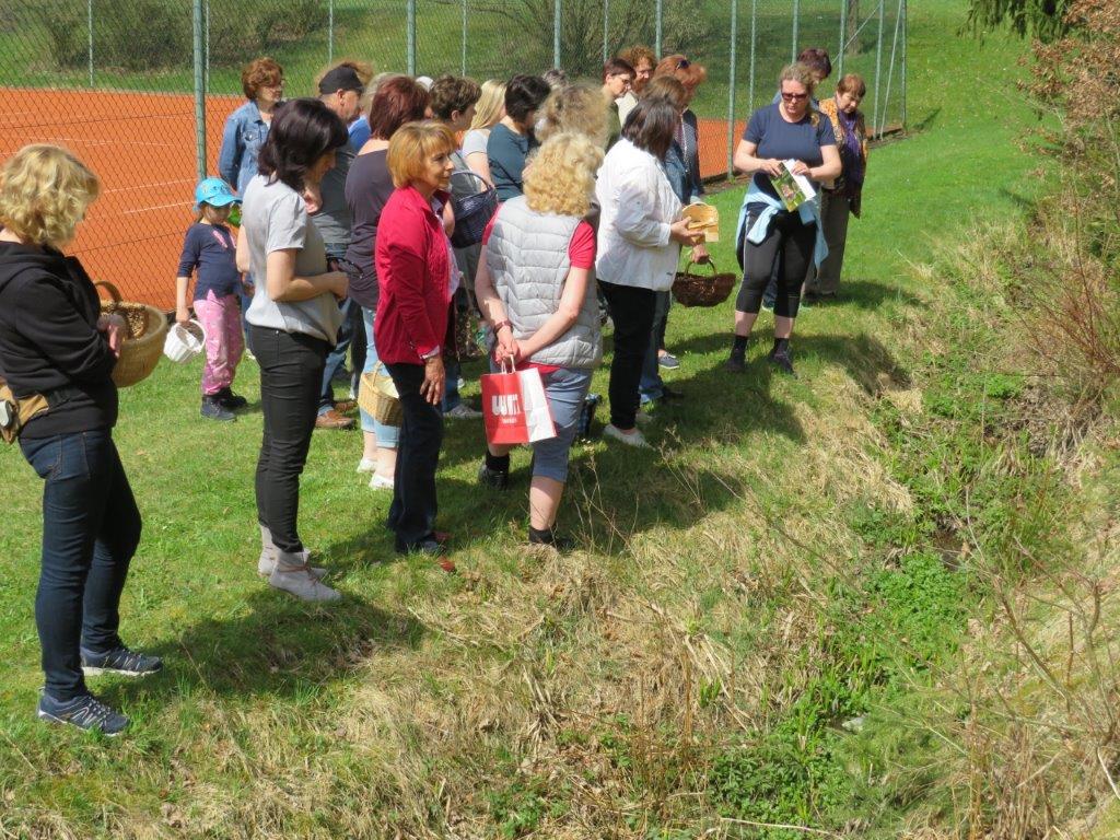Naturapotheke für den Körper
