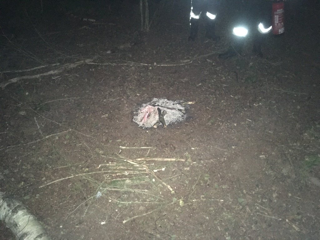 Lagerfeuer mitten im Wald – Polizei ermittelt