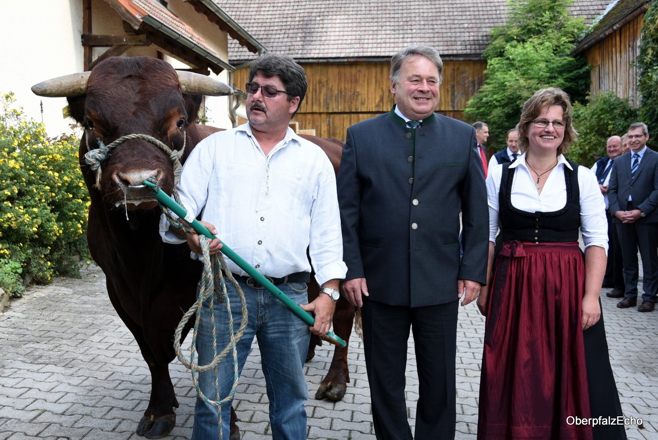 Erfolgreich mit Flexibilität und Rotem Höhenvieh