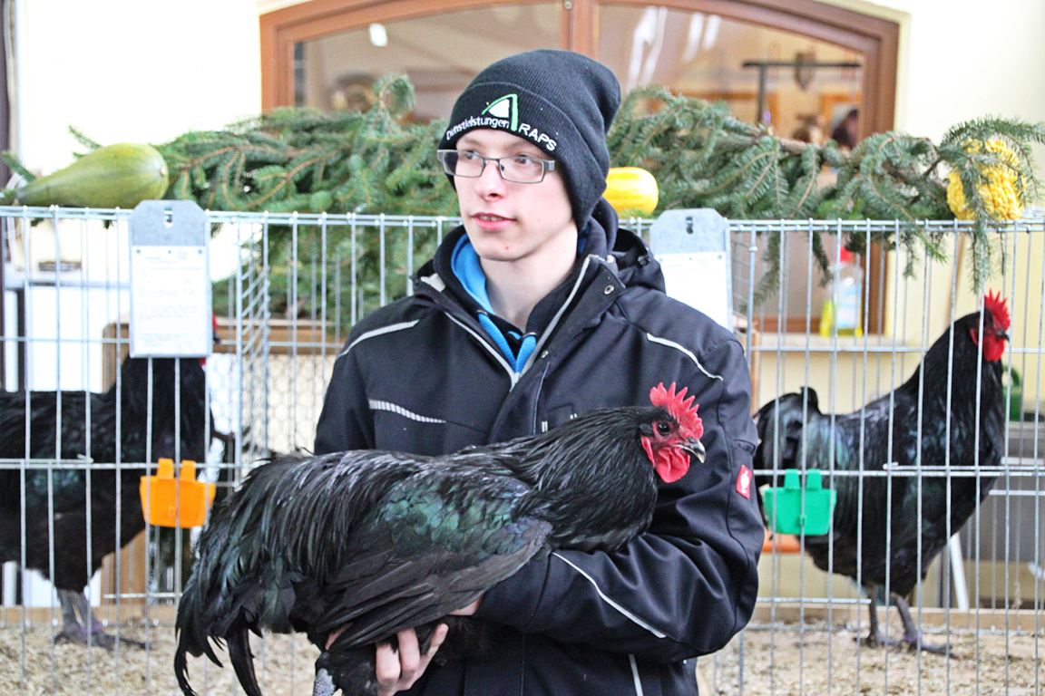 Lokalschau des Kleintierzuchtvereins: „Uns fehlt der Nachwuchs!“