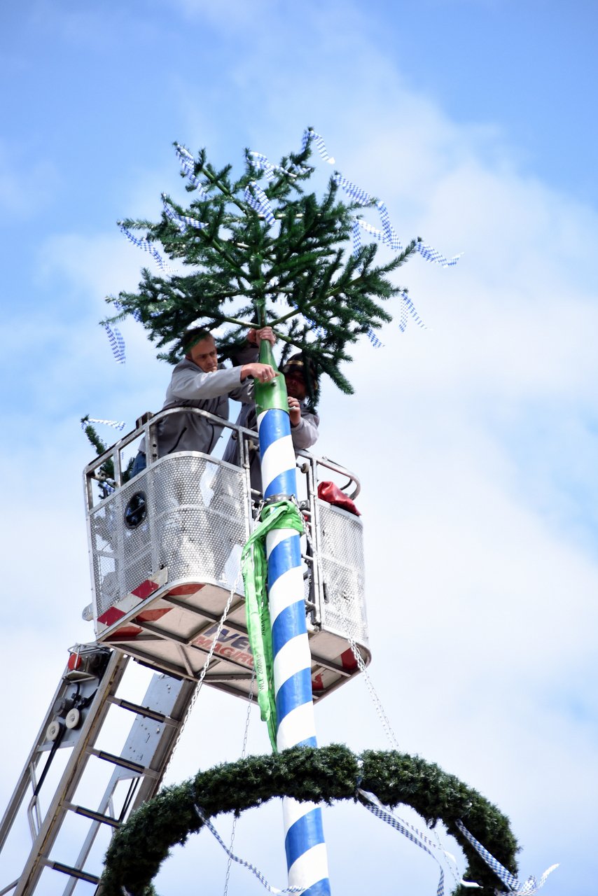 Der Maibaum in Neudorf kommt zurück