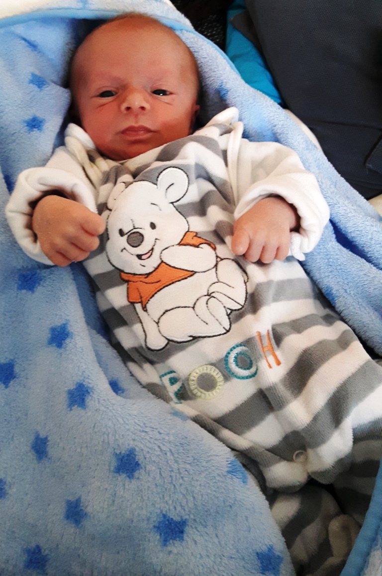 Diese Babys wurden zwischen 29. November – 6. Dezember geboren