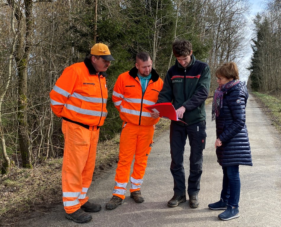 Diskussionen um gefällte Bäume