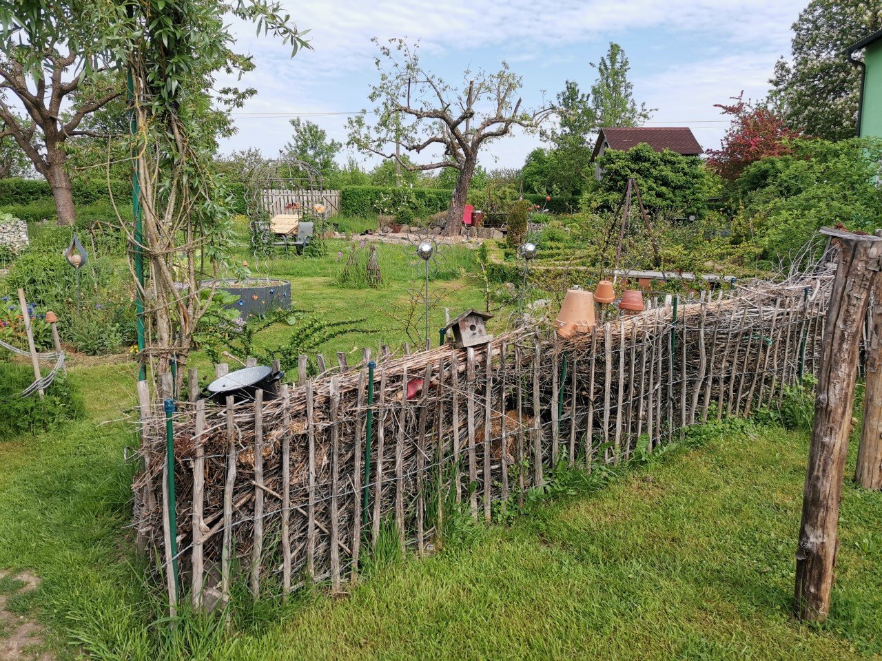 Artenvielfalt im eigenen Garten