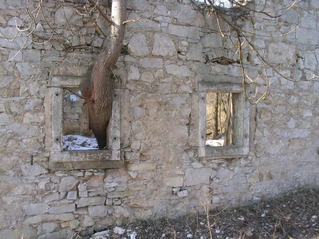 Sperrgebiet Truppenübungsplatz: Die Natur holt sich zurück, was ihr einst gehörte