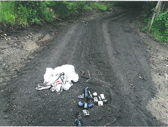 Plastiksäcke im Wald entsorgt