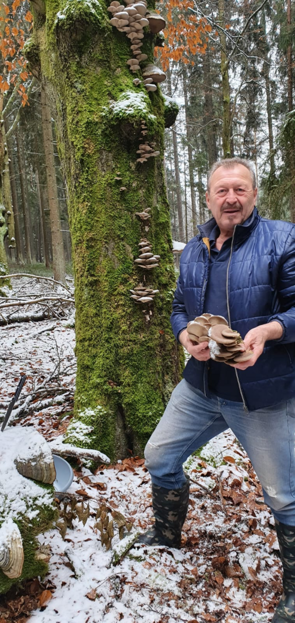 Besondere Schwammerln im Winter