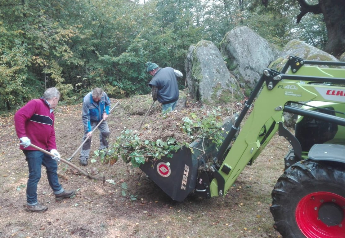 Naturdenkmal strahlt wieder