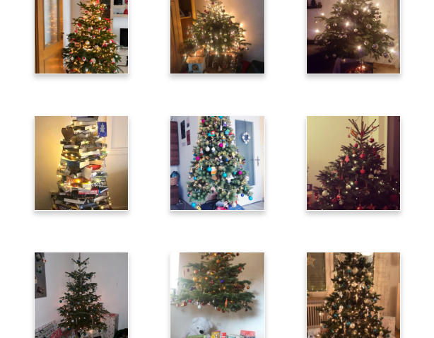 OberpfalzECHO-Christbaumloben: Jetzt abstimmen!