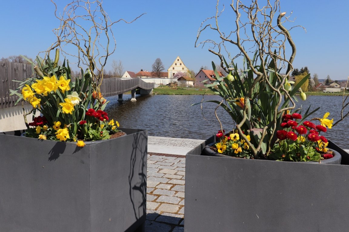 Osterhase besucht Fischhofpark