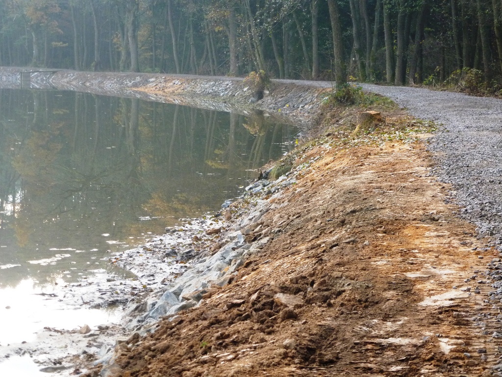 Gemeindeweiher Parkstein