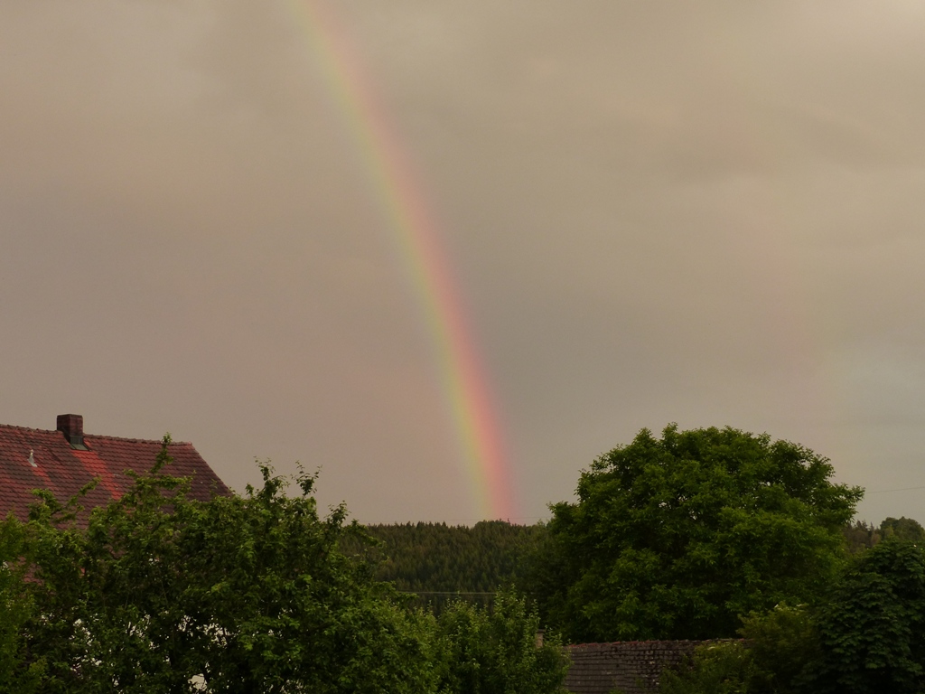 Sommer 2016 in der nördlichen Oberpfalz