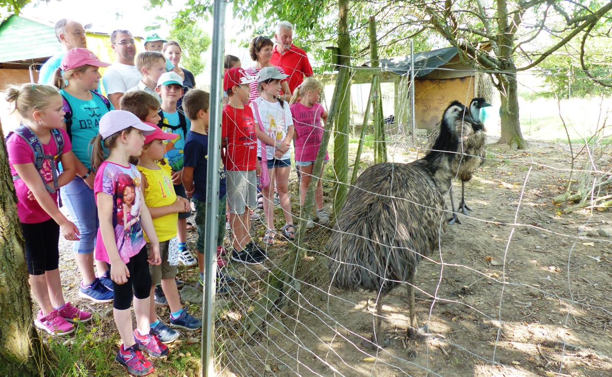 Ferienprogramm Leuchtenberg: Auf den Spuren von Emus und Co.