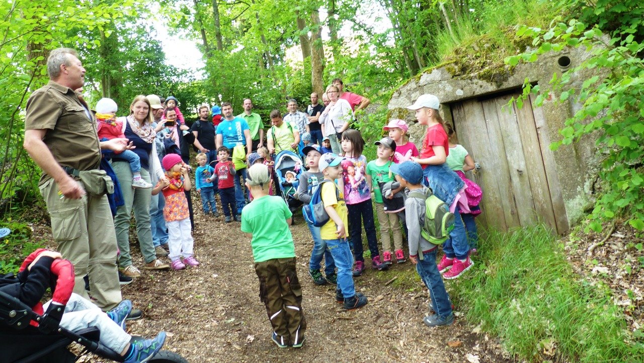 Kinder auf Entdeckungstour: Wo Fledermäuse, Frösche und Schlangen leben
