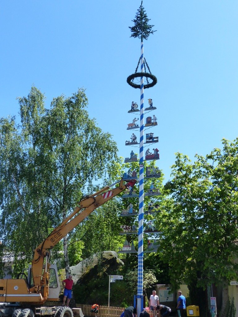 Leuchtenberg hat wieder einen Zunftbaum