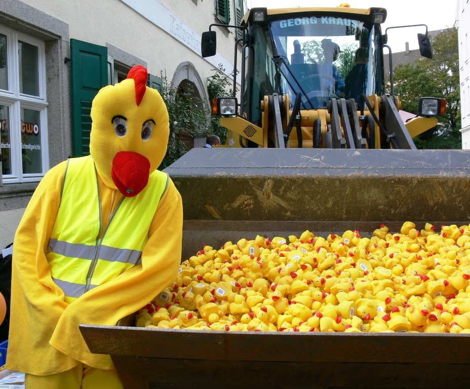 Entenrennen 2015: Die Gewinner