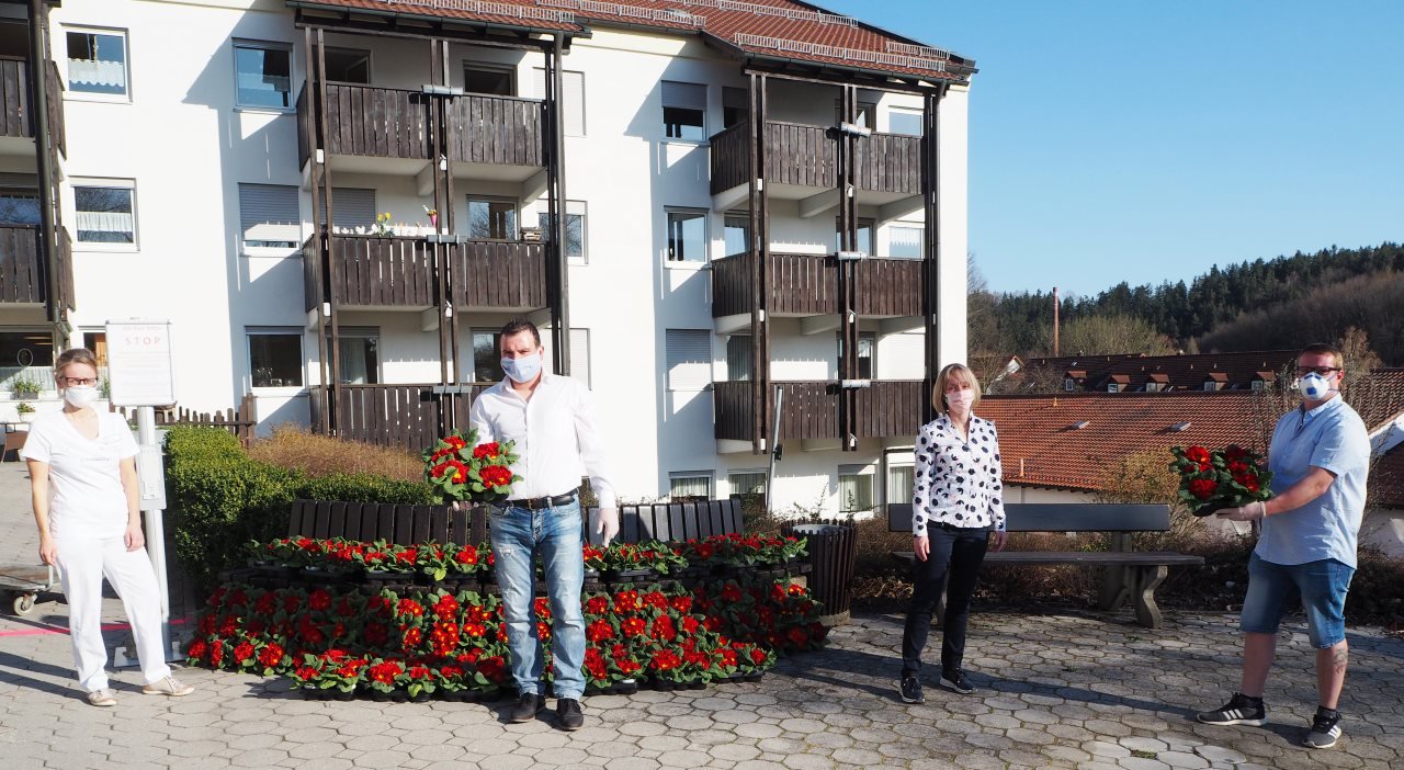 Blühende Primeln für jeden Bewohner
