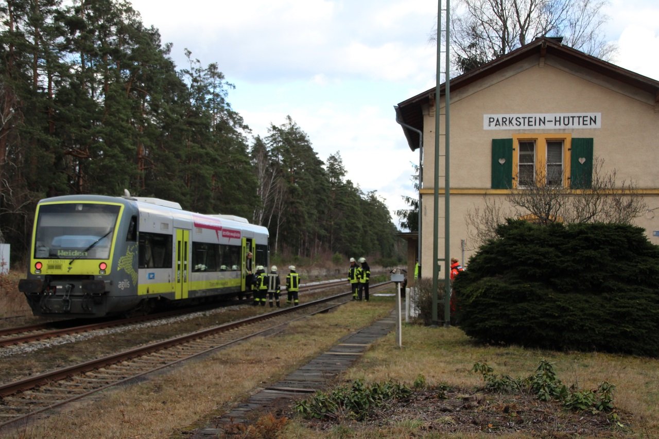 Umgestürzt: Zug bei Parkstein-Hütten rollt über Baum