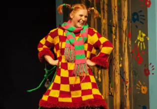 Pippi Langstrumpf, Spider Murphy Gang, Blue Devils